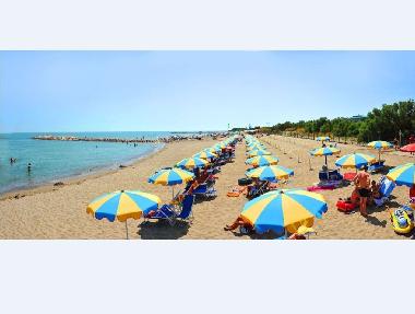 Holiday Apartment in 30015 (Venezia) or holiday homes and vacation rentals