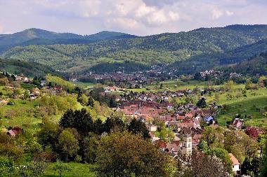 Holiday Apartment in Stosswihr (Haut-Rhin) or holiday homes and vacation rentals