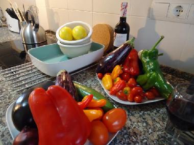 Holiday Apartment in Hospitalet Del Infant (Tarragona) or holiday homes and vacation rentals