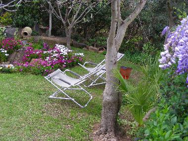 Holiday House in Costa Rei(Cagliari-Muravera) (Cagliari) or holiday homes and vacation rentals