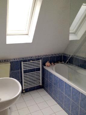 Holiday House in Amsterdam (Noord-Holland) or holiday homes and vacation rentals