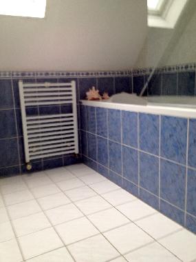 Holiday House in Amsterdam (Noord-Holland) or holiday homes and vacation rentals