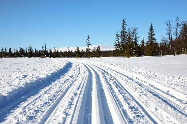 Holiday House in Svenstavik-Gal�bodarna (J�mtland) or holiday homes and vacation rentals