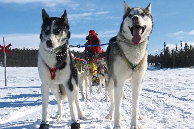 Holiday House in Svenstavik-Gal�bodarna (J�mtland) or holiday homes and vacation rentals