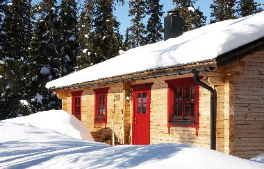 Holiday House in Svenstavik-Galbodarna (Jmtland) or holiday homes and vacation rentals