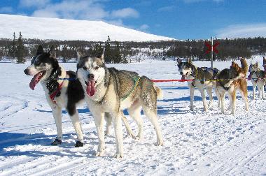 Holiday House in Svenstavik-Gal�bodarna (J�mtland) or holiday homes and vacation rentals