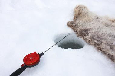 Holiday House in Svenstavik-Gal�bodarna (J�mtland) or holiday homes and vacation rentals