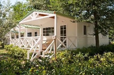 Holiday House in Isolaverde (Venezia) or holiday homes and vacation rentals