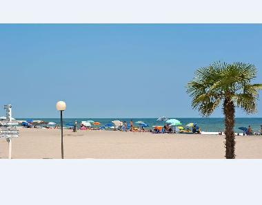 Holiday House in Isolaverde (Venezia) or holiday homes and vacation rentals
