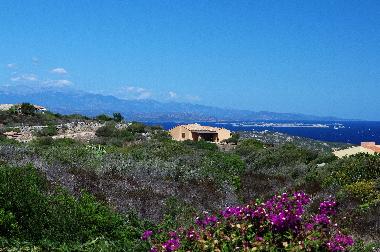 Villa in Santa Teresa Gallura (Olbia-Tempio) or holiday homes and vacation rentals