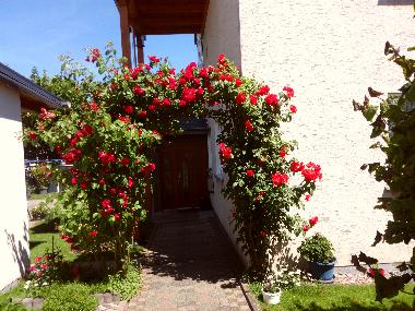 Holiday Apartment in Beverungen (Weserbergland) or holiday homes and vacation rentals