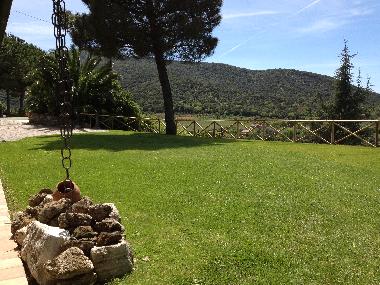 Villa in Scarlino (Grosseto) or holiday homes and vacation rentals