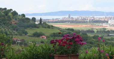 Villa in Scarlino (Grosseto) or holiday homes and vacation rentals