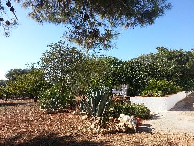 Holiday House in Villa castelli (Brindisi) or holiday homes and vacation rentals