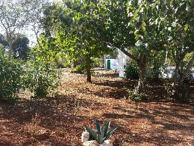 Holiday House in Villa castelli (Brindisi) or holiday homes and vacation rentals