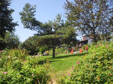 Chalet in Virton (Wallonia) or holiday homes and vacation rentals