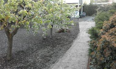 Chalet in Ciudad Real (Ciudad Real) or holiday homes and vacation rentals