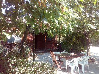 Chalet in Ciudad Real (Ciudad Real) or holiday homes and vacation rentals