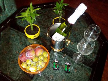 Chalet in Ciudad Real (Ciudad Real) or holiday homes and vacation rentals