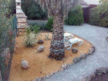 Chalet in Ciudad Real (Ciudad Real) or holiday homes and vacation rentals