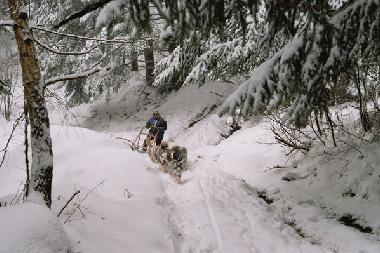 Holiday House in St Agnan en Vercors (Dr�me) or holiday homes and vacation rentals