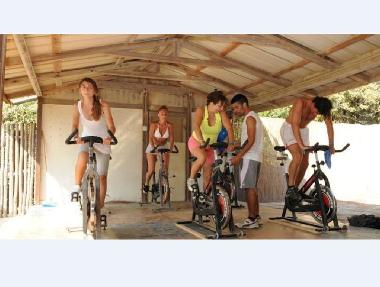 Holiday House in Marina di Cecina (Livorno) or holiday homes and vacation rentals