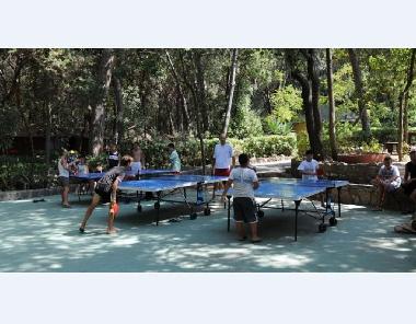 Holiday House in Marina di Cecina (Livorno) or holiday homes and vacation rentals