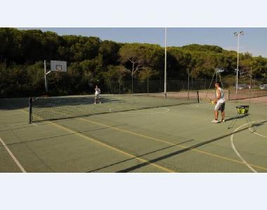 Holiday House in Marina di Cecina (Livorno) or holiday homes and vacation rentals