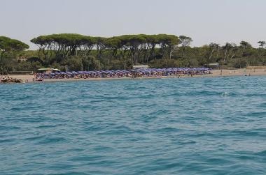 Holiday House in Marina di Cecina (Livorno) or holiday homes and vacation rentals