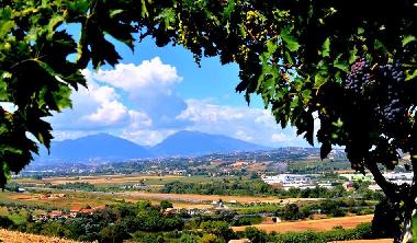 Holiday Apartment in Pescara(Catignano) (Pescara) or holiday homes and vacation rentals