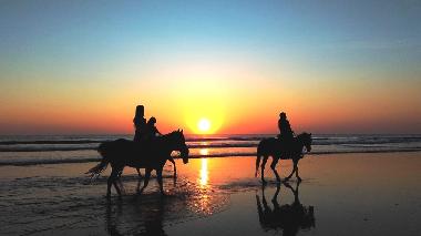 Holiday Apartment in Pescara(Catignano) (Pescara) or holiday homes and vacation rentals