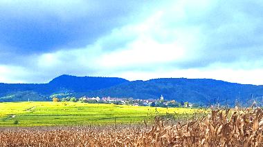 Holiday House in olwisheim (Bas-Rhin) or holiday homes and vacation rentals