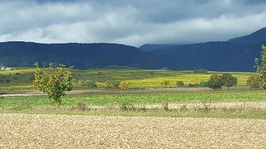 Holiday House in olwisheim (Bas-Rhin) or holiday homes and vacation rentals