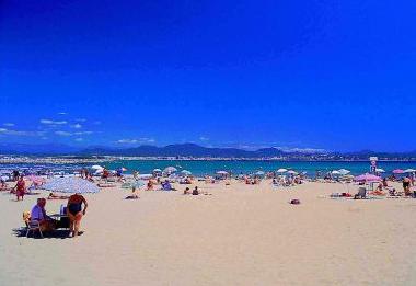 Holiday House in St aygulf  (Var) or holiday homes and vacation rentals