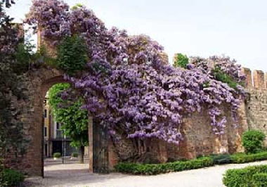 Holiday House in Baone (Padova) or holiday homes and vacation rentals