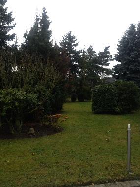 Holiday Apartment in Mnchengladbach (Region Dsseldorf) or holiday homes and vacation rentals