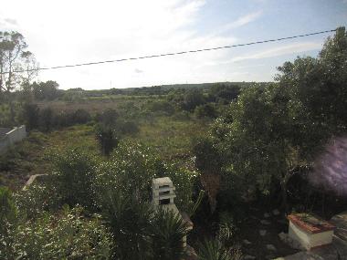 Holiday House in San Pietro in Bevagna (Taranto) or holiday homes and vacation rentals