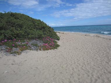 Holiday House in San Pietro in Bevagna (Taranto) or holiday homes and vacation rentals