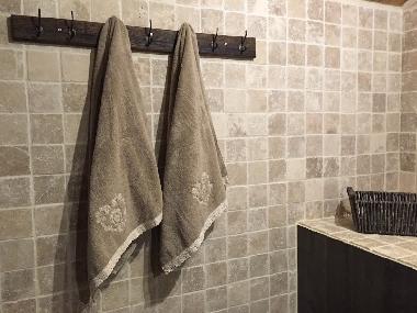 Chalet in Thollon-les-M�mises (Haute-Savoie) or holiday homes and vacation rentals