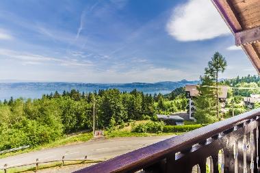 Chalet in Thollon-les-M�mises (Haute-Savoie) or holiday homes and vacation rentals