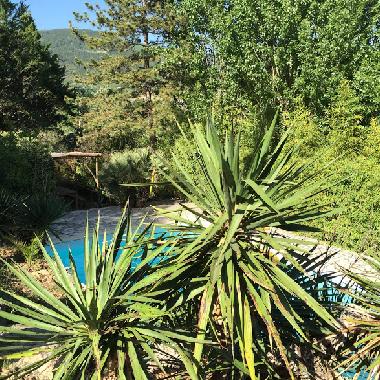 Villa in Poujols (Hrault) or holiday homes and vacation rentals