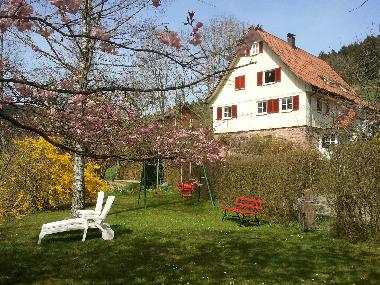 Holiday Apartment in Alpirsbach (Black Forest) or holiday homes and vacation rentals