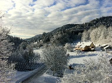 Holiday Apartment in Alpirsbach (Black Forest) or holiday homes and vacation rentals