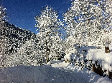 Holiday Apartment in Alpirsbach (Black Forest) or holiday homes and vacation rentals