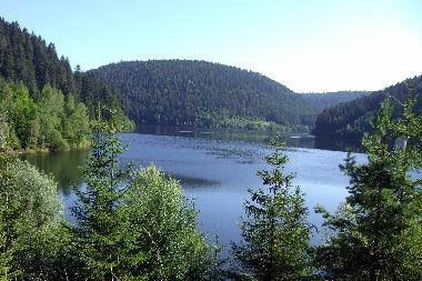 Holiday Apartment in Alpirsbach (Black Forest) or holiday homes and vacation rentals