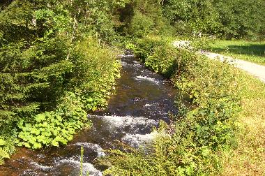 Holiday Apartment in Alpirsbach (Black Forest) or holiday homes and vacation rentals