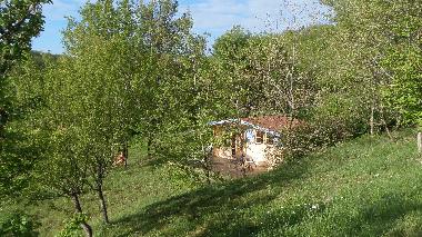 Holiday Apartment in St Julien du Puy (Tarn) or holiday homes and vacation rentals