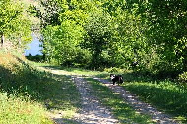 Holiday House in Lapeyrouse (Puy-de-Dme) or holiday homes and vacation rentals
