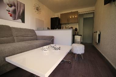 Holiday Apartment in Saint Cyprien (Pyrnes-Orientales) or holiday homes and vacation rentals