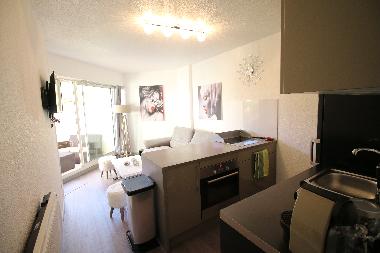 Holiday Apartment in Saint Cyprien (Pyrnes-Orientales) or holiday homes and vacation rentals